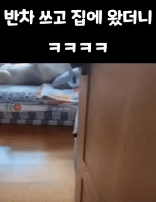 A corgi dog is shown in six panels, initially lying on its back on a bed or cushion, then looking up at the camera with a…