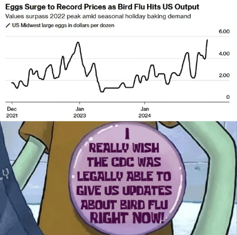 The image combines a line graph titled 'Eggs Surge to Record Prices as Bird Flu Hits US Output' showing price spikes from…