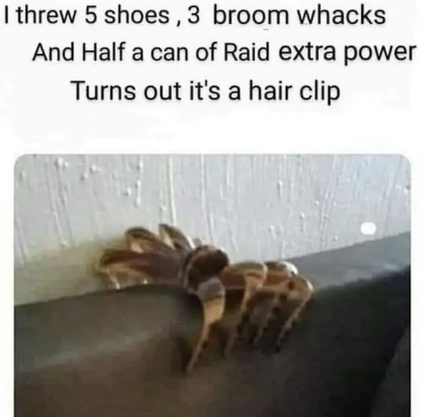 A Collection of Memes You Didn't Know You Needed