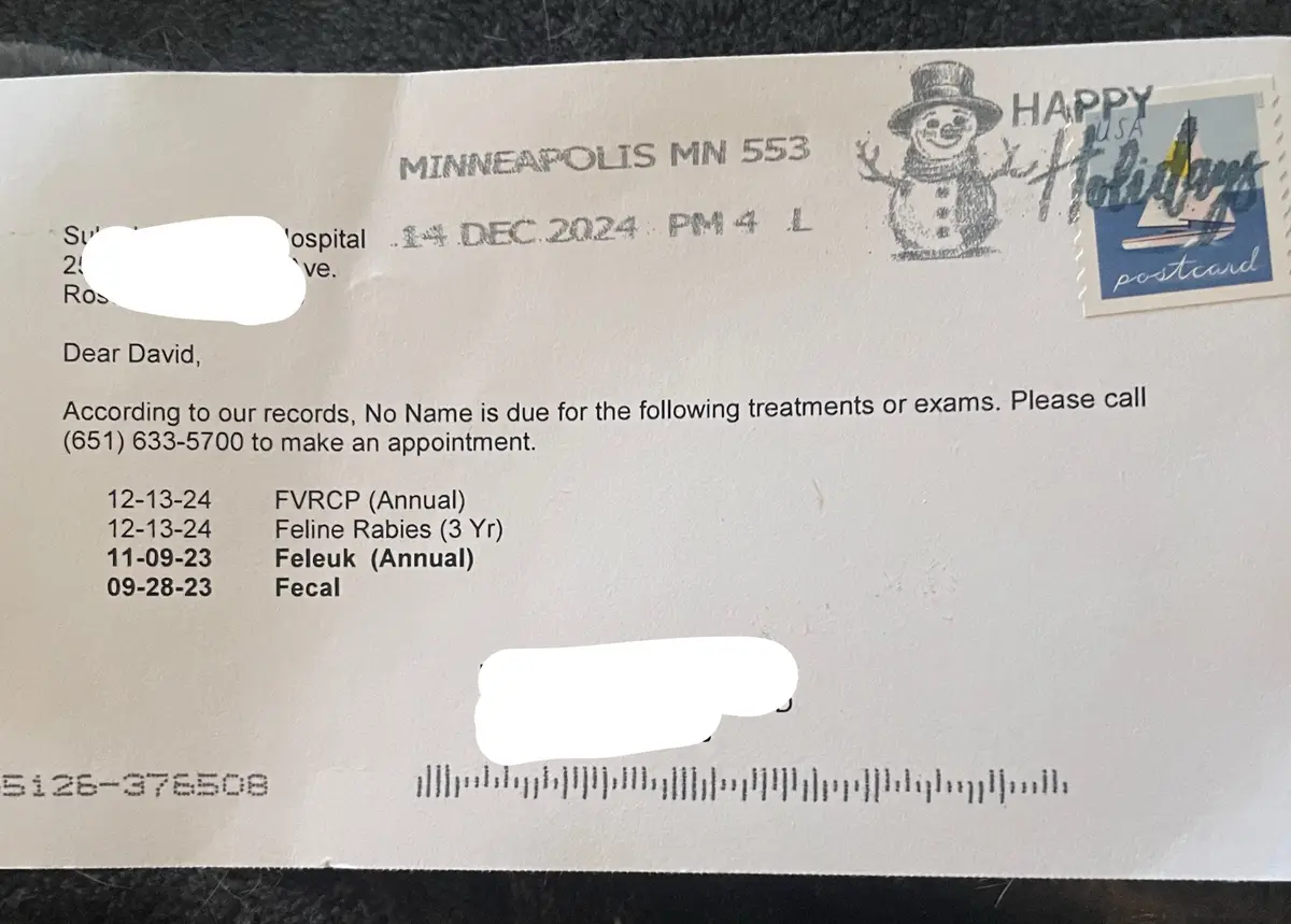My Friend's Nameless Kitty: The Vet's Hilarious Note