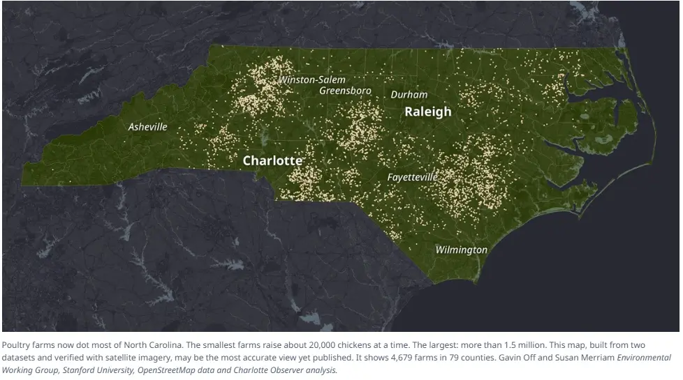 Exploring the Chicken Farms of North Carolina