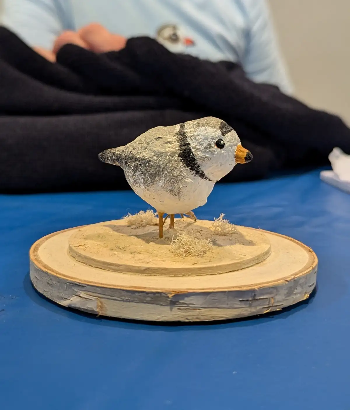 Chicago's New Official Unofficial Bird Has Been Elected!