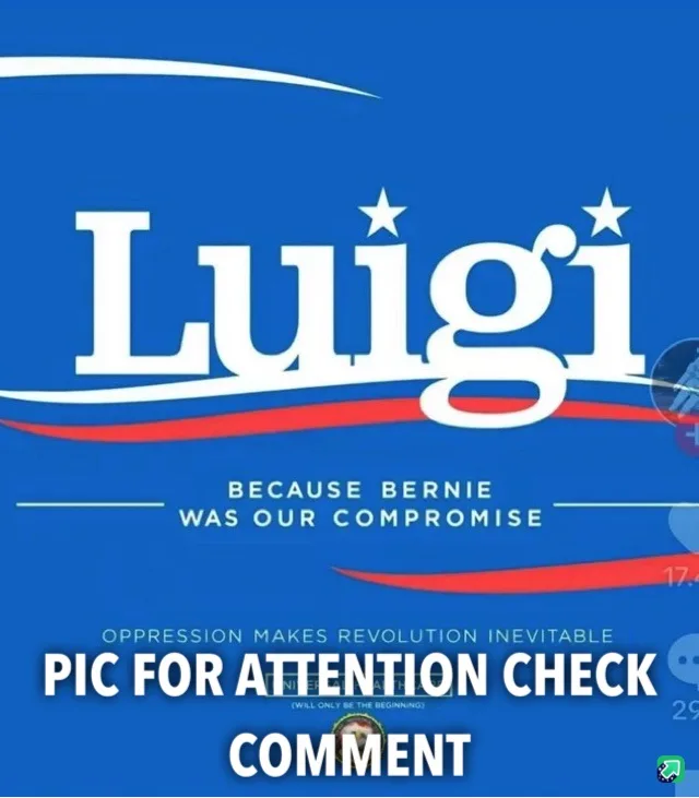 The image is a blue political-style poster parody featuring the name 'Luigi' in large white text with stars, mimicking a…