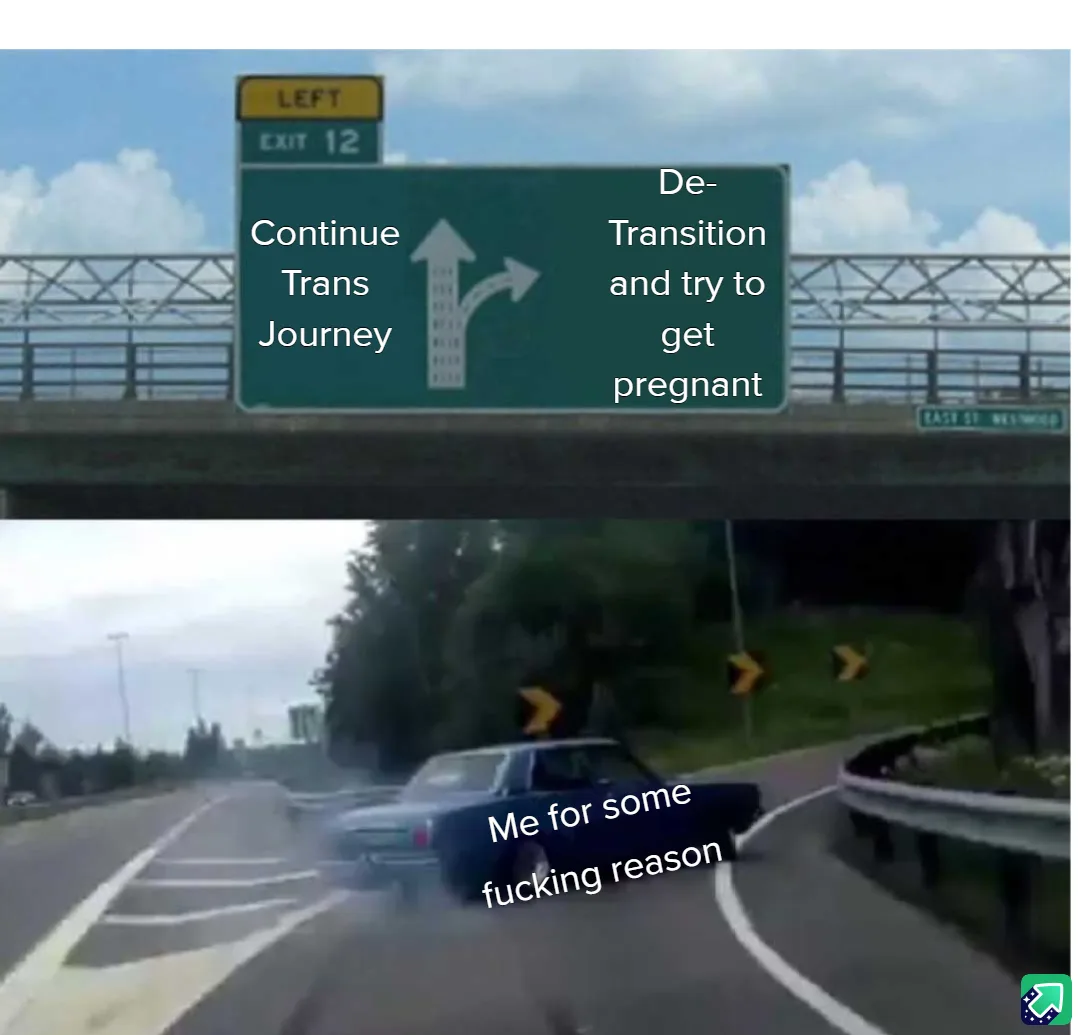 A highway sign with two options: 'Continue Trans Journey' with an arrow straight up, and 'De-Transition and try to get…