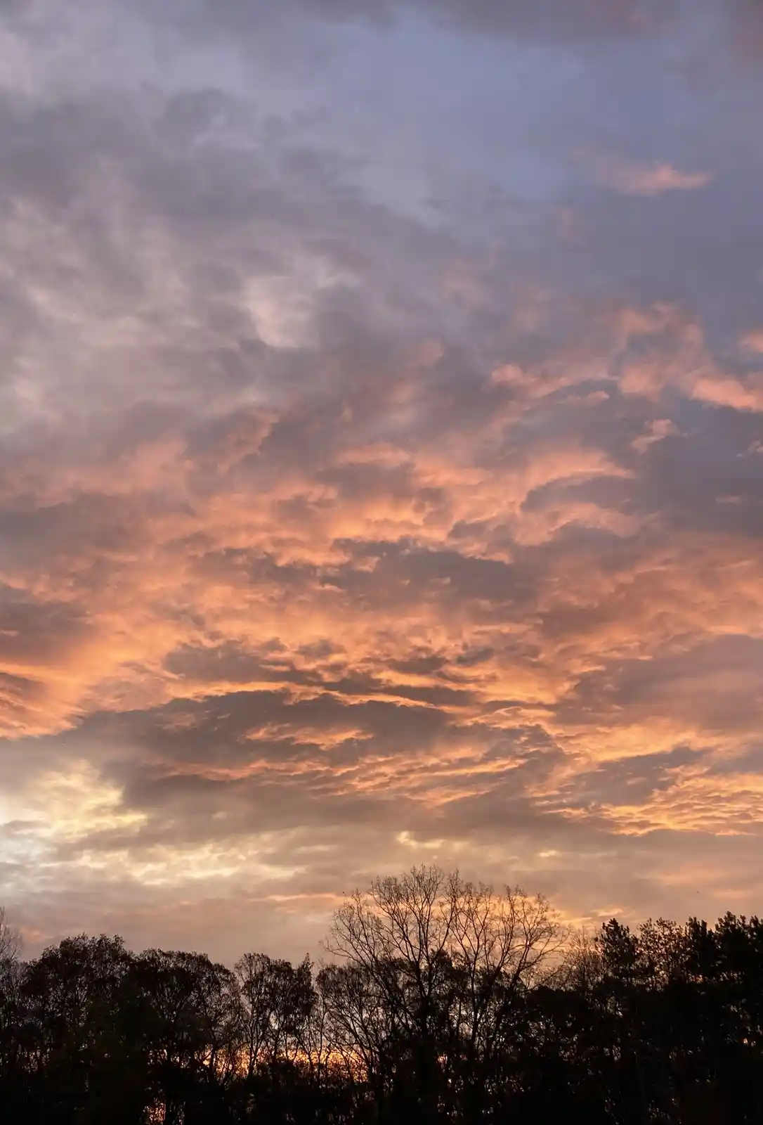 A photograph of a dramatic sunset or sunrise with clouds painted in vibrant orange, pink, and purple hues against a darker…