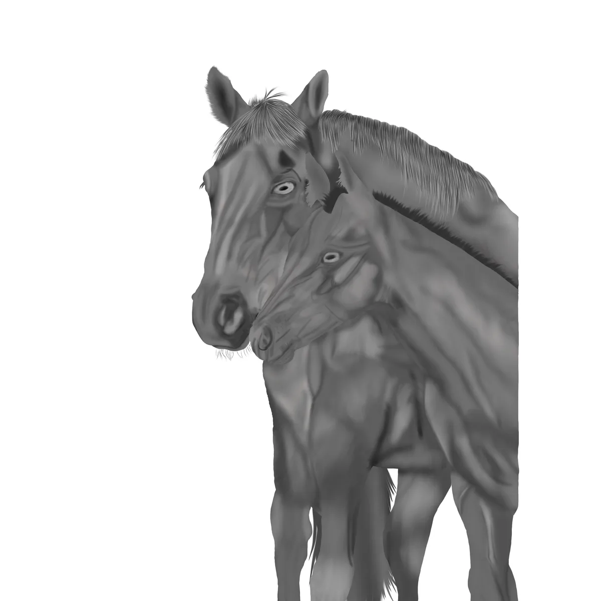 A Mare and Her Foal: The Bond of Motherhood