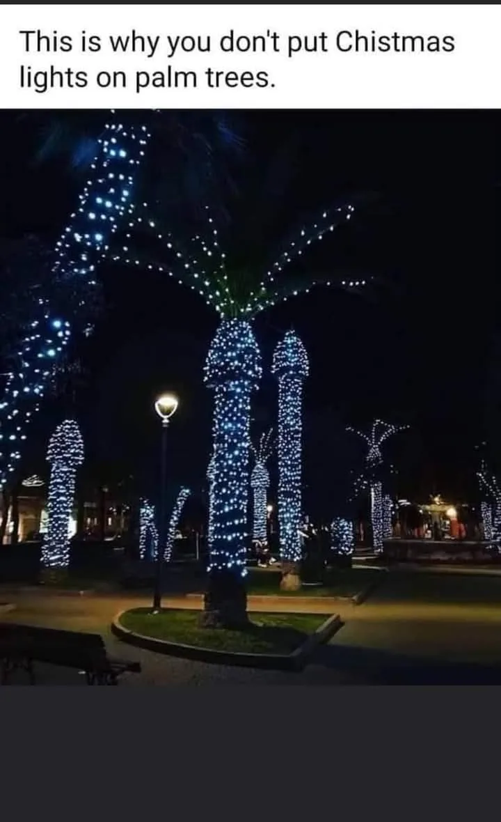 Celebrating Christmastime in Sunny Florida