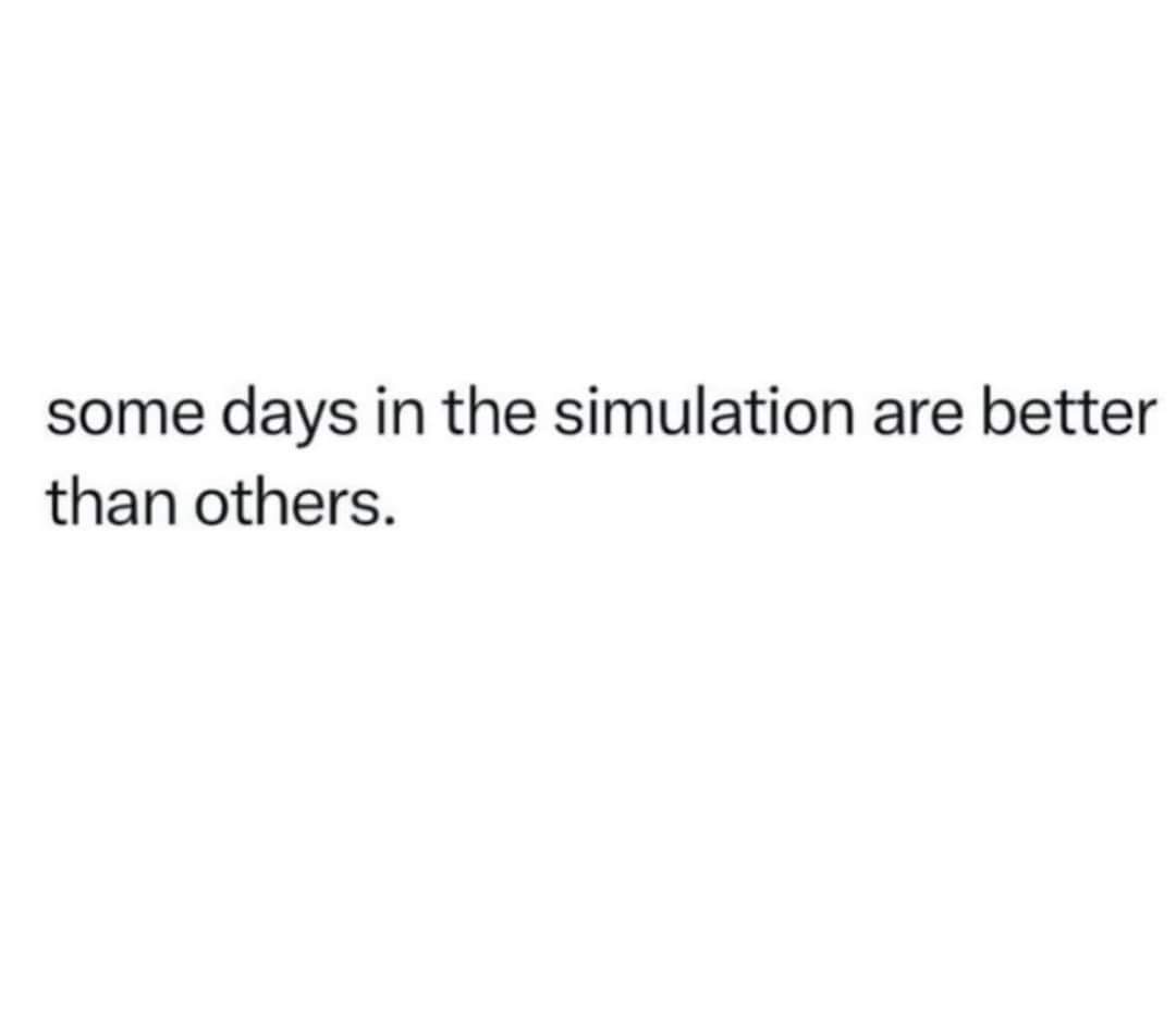 The image is a plain white background with centered black text that reads 'some days in the simulation are better than…
