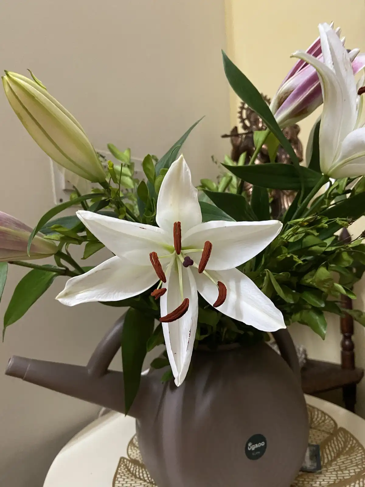 A close-up photo shows a bouquet of white and pink lilies arranged in a brown watering can, which is being used as a vase…