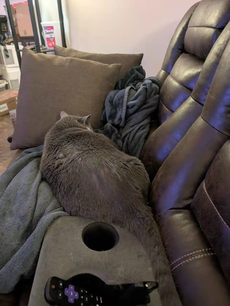 A gray cat is curled up sleeping on a dark gray fleece blanket draped over the armrest of a brown leather recliner. The…