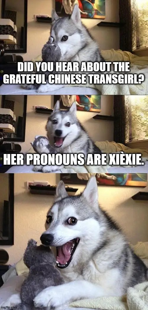 A three-panel meme featuring a Siberian Husky in a bedroom, initially looking skeptical, then smiling while holding a…