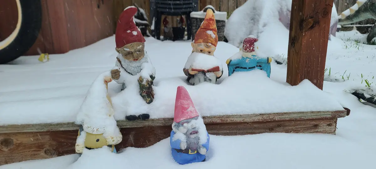 Several garden gnome figurines are partially buried in snow on a wooden deck during a snowfall, with one gnome in the…