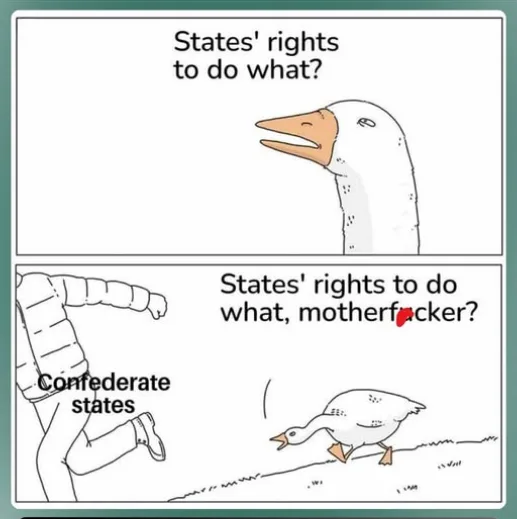 A two-panel comic featuring a goose. In the top panel, the goose asks, "States' rights to do what?" In the bottom panel, a…