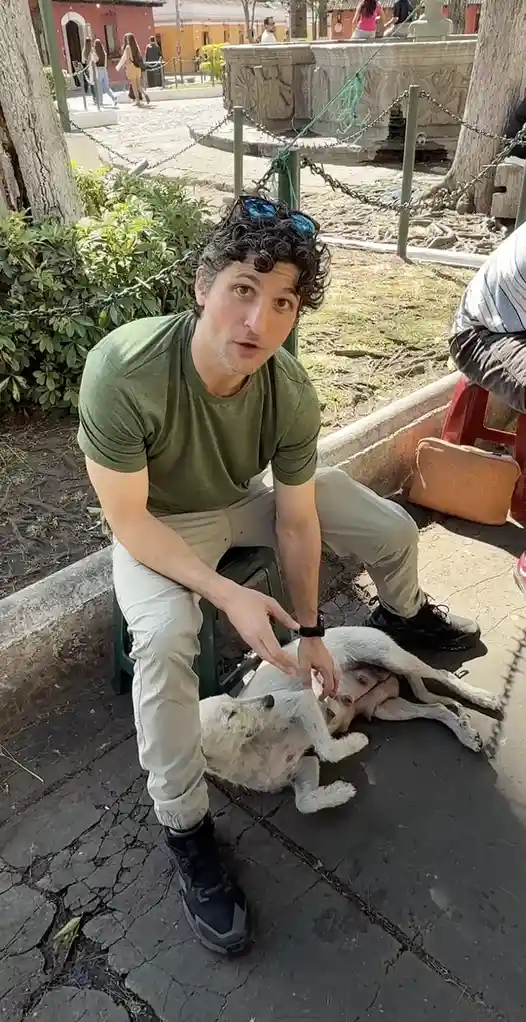 Helping a Street Dog in Guatemala: A Heartwarming Journey