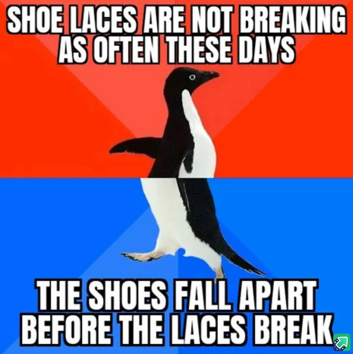A penguin stands against a red and blue background, with white text overlaid in two sections. The top text reads 'SHOE LACES…