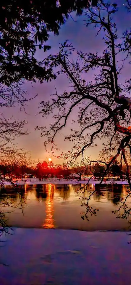 A serene winter sunset over a frozen lake, framed by bare tree branches silhouetted against a purple and orange sky. The…