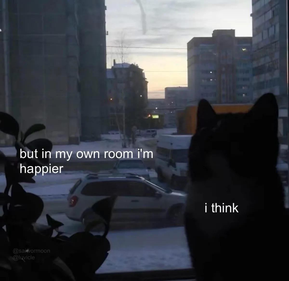 A black cat is silhouetted against a window, looking out at a snowy city street with parked cars and apartment buildings…
