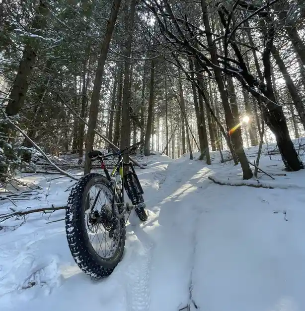 A fat bike with wide, snow-embedded tires is parked upright in a snowy forest trail, surrounded by tall trees with snow on…
