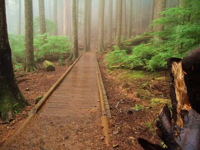 Breathtaking Views: Exploring Mount Si Near Seattle, Washington