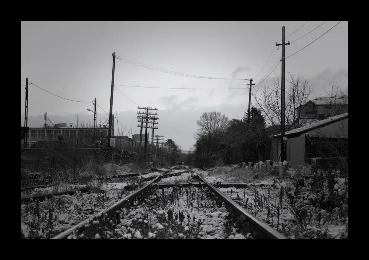 A black-and-white photo shows overgrown, snow-dusted railroad tracks receding into the distance between bare trees and…