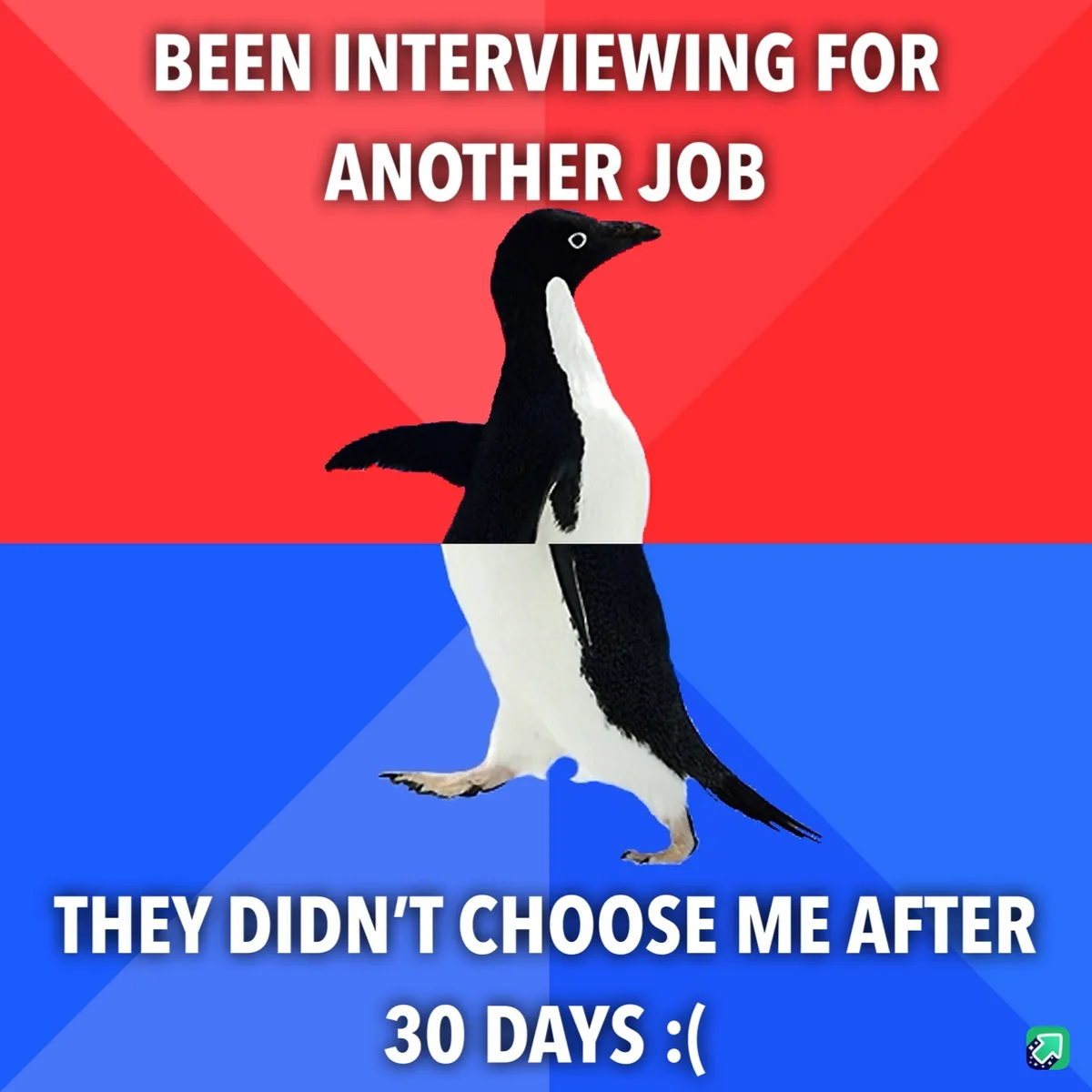 A penguin stands centered against a red and blue background, with white text overlaid. The top text reads 'BEEN INTERVIEWING…