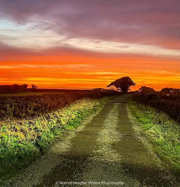 A scenic rural gravel path stretches toward a horizon bathed in vibrant orange and purple sunset hues, flanked by green…