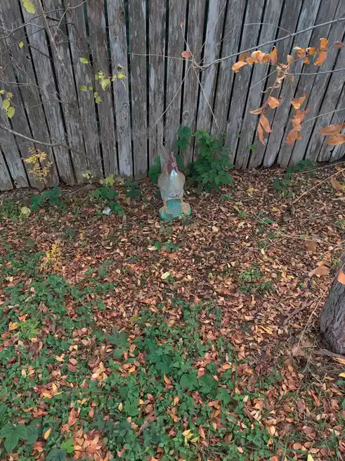 A weathered, painted rooster statue sits in a garden covered in fallen autumn leaves and green weeds, with a wooden fence in…