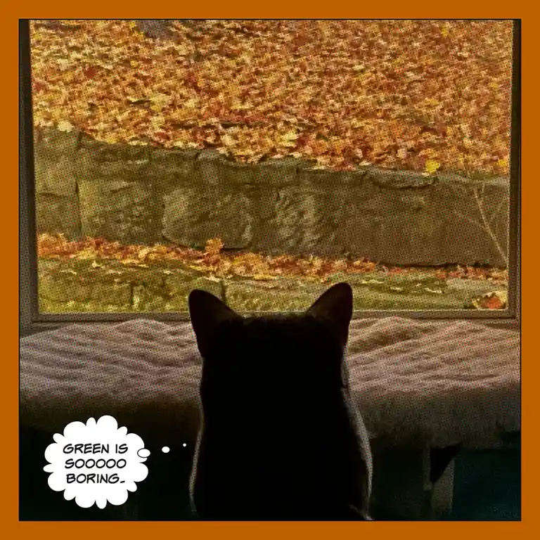 Autumn Takes the Lead: 1 for Fall, 0 for Spring