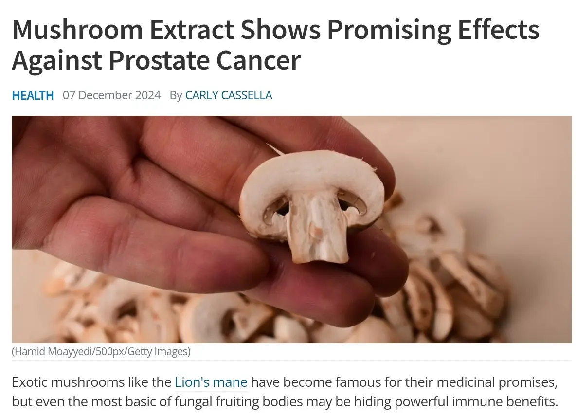 Mushroom Extract: A Promising Ally Against Prostate Cancer