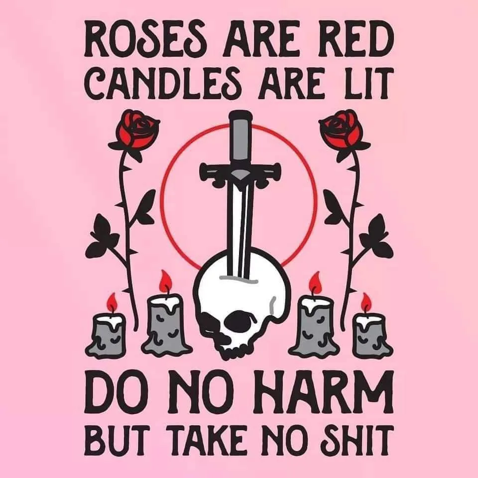 Celebrating My Cake Day with Favorite T-Shirt Designs