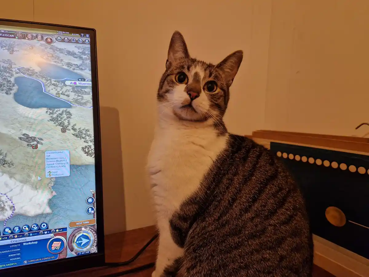 A tabby and white cat sits beside a computer monitor displaying the Civilization VI game, looking directly at the camera…
