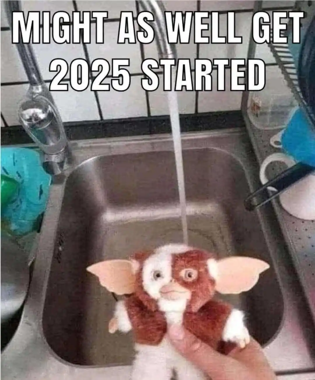 A plush toy of the character Gizmo from 'Gremlins' is being held under a running faucet in a stainless steel kitchen sink…