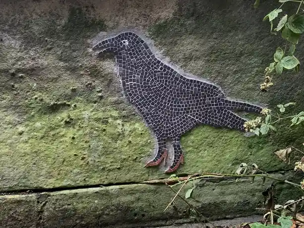 Absolutely captivated by this stunning bird!