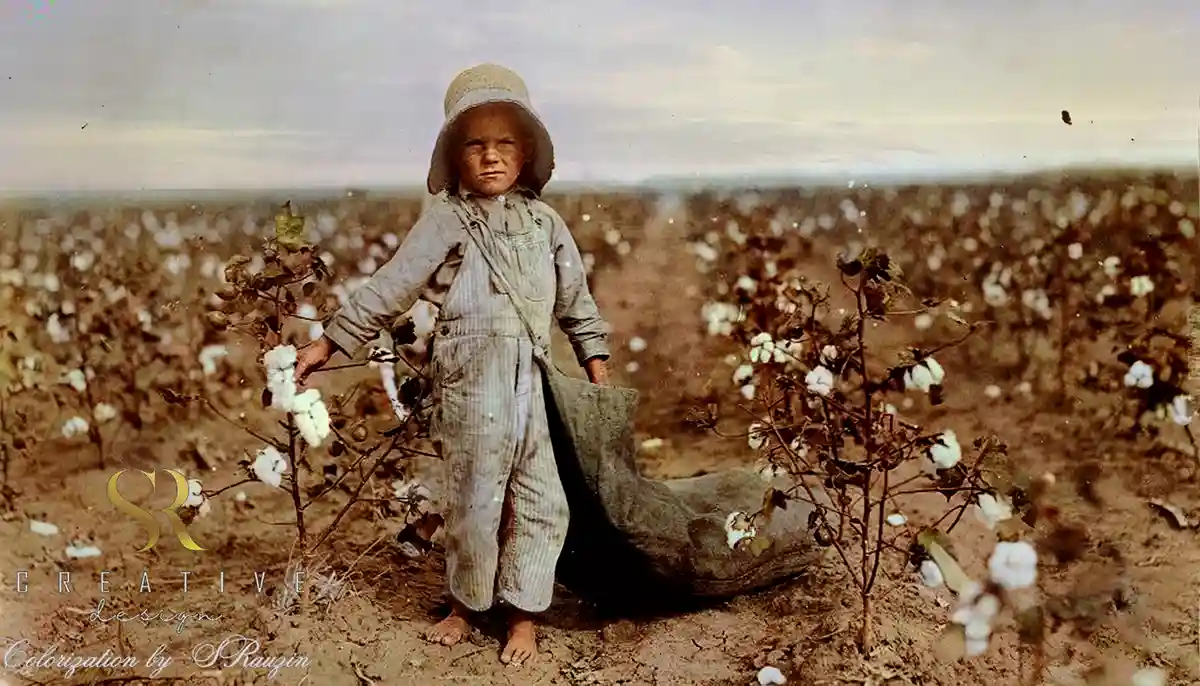 A colorized historical photograph shows a young child standing barefoot in a cotton field, wearing overalls and a hat…