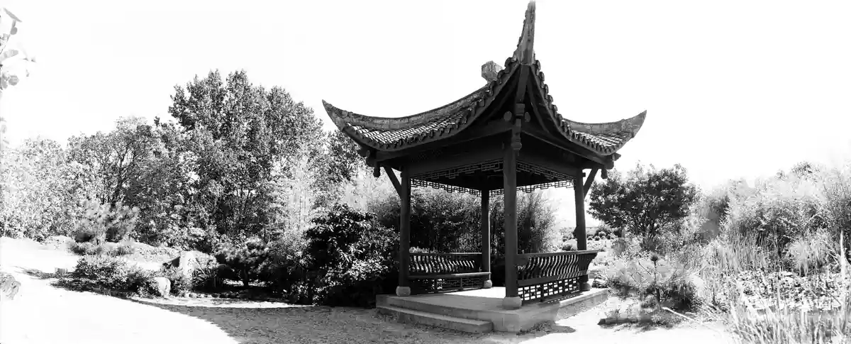 Exploring the Serenity of Seattle's Chinese Garden