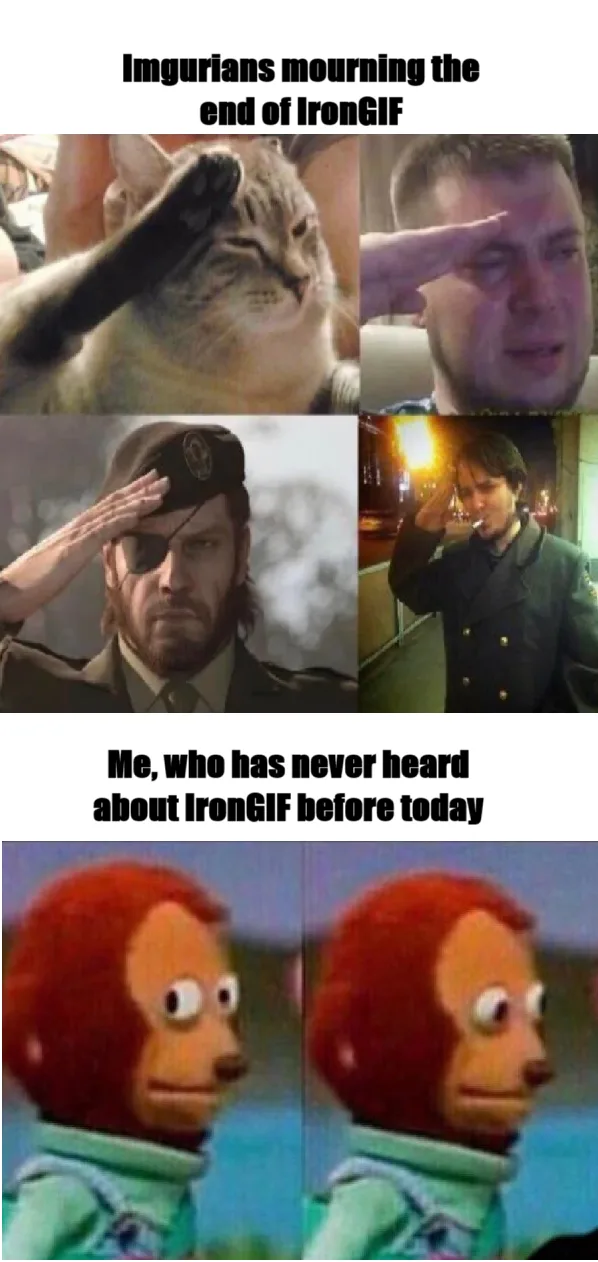 The image is a two-panel meme. The top panel shows four different people or animals (a cat, a man, a video game character…