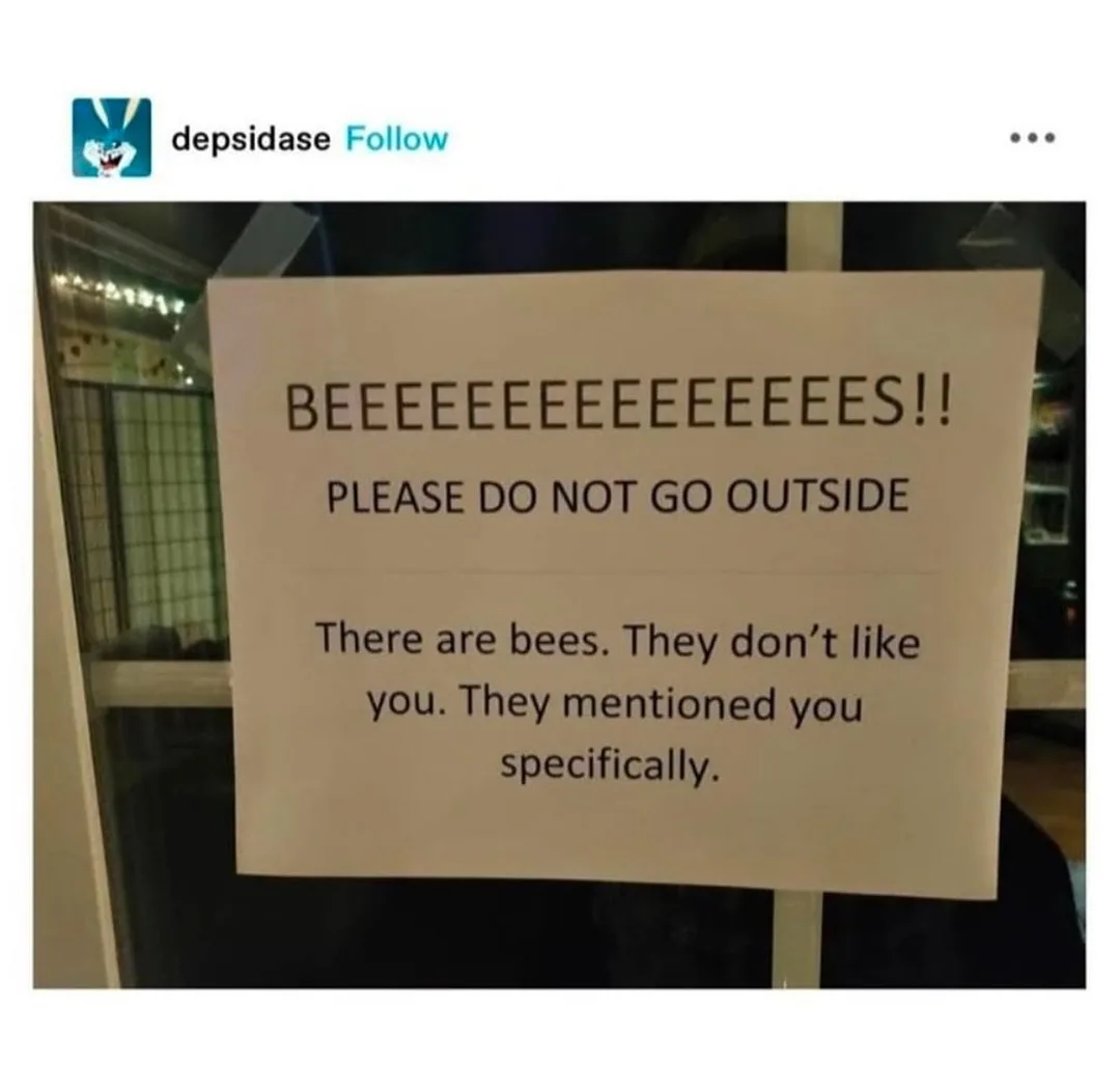 A handwritten sign on a door or window warns people not to go outside because bees are present and supposedly have a…