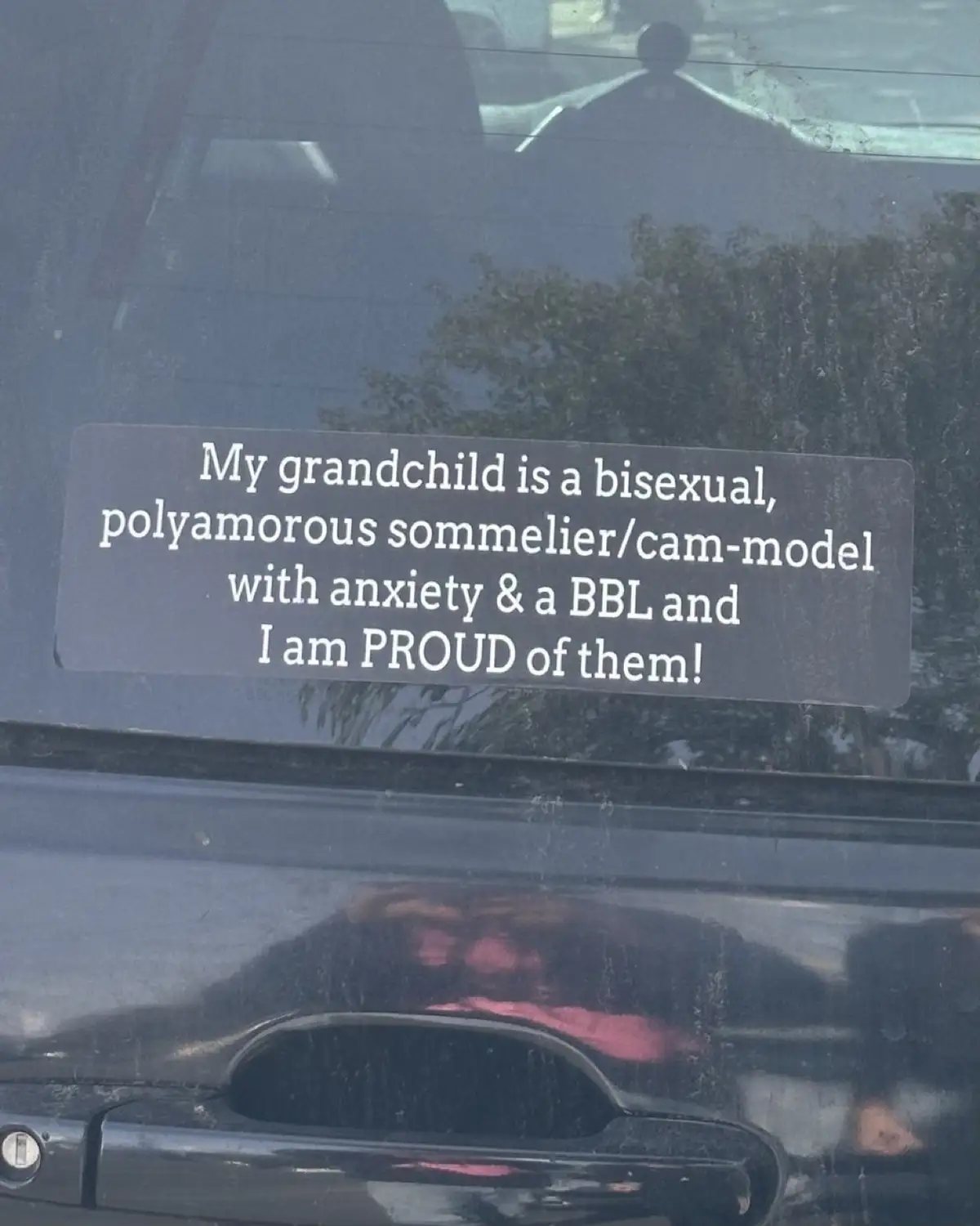 A dark-colored car window displays a rectangular sticker with white text listing a grandchild's diverse attributes including…