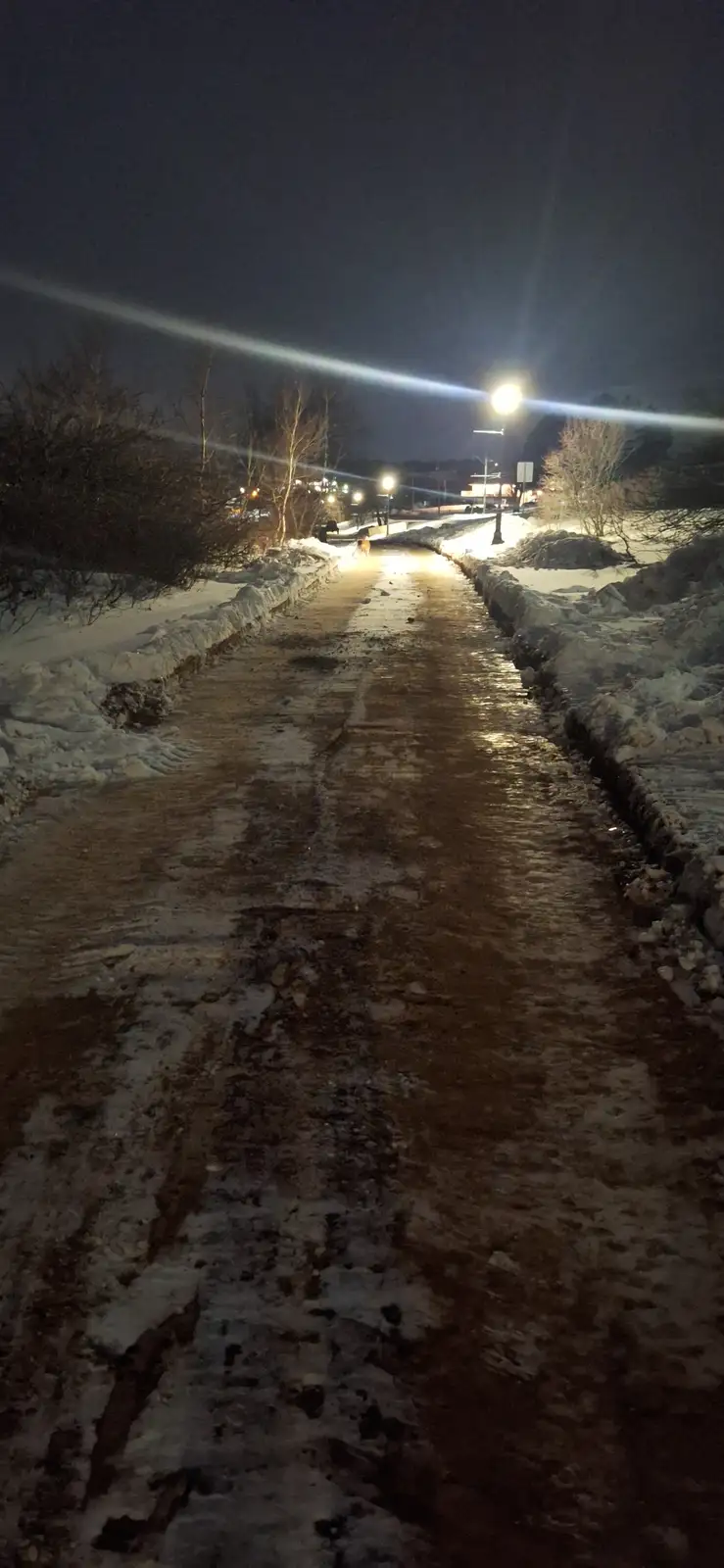 A nighttime photo of a snow-lined sidewalk with melted, muddy patches illuminated by streetlights, with a small dog visible…