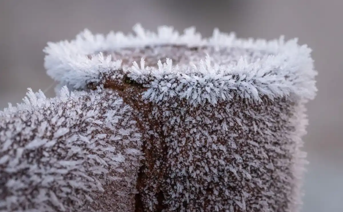 A close-up photo shows a brown, textured fabric, likely a sweater or coat, heavily covered in delicate white frost crystals…