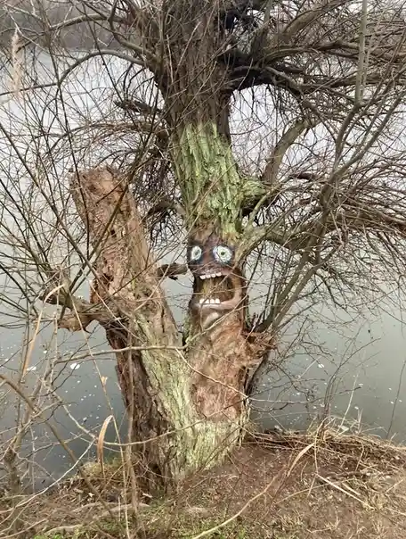The Terrified Tree