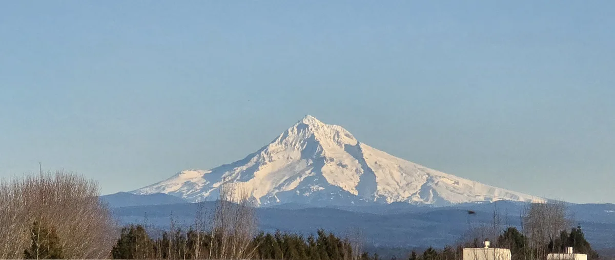 A scenic photo shows a large, snow-capped mountain under a clear blue sky, with bare trees and distant buildings in the…