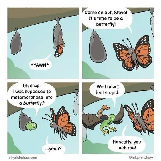 A four-panel comic strip shows a butterfly emerging from a chrysalis and encouraging a friend named Steve to emerge. Steve…