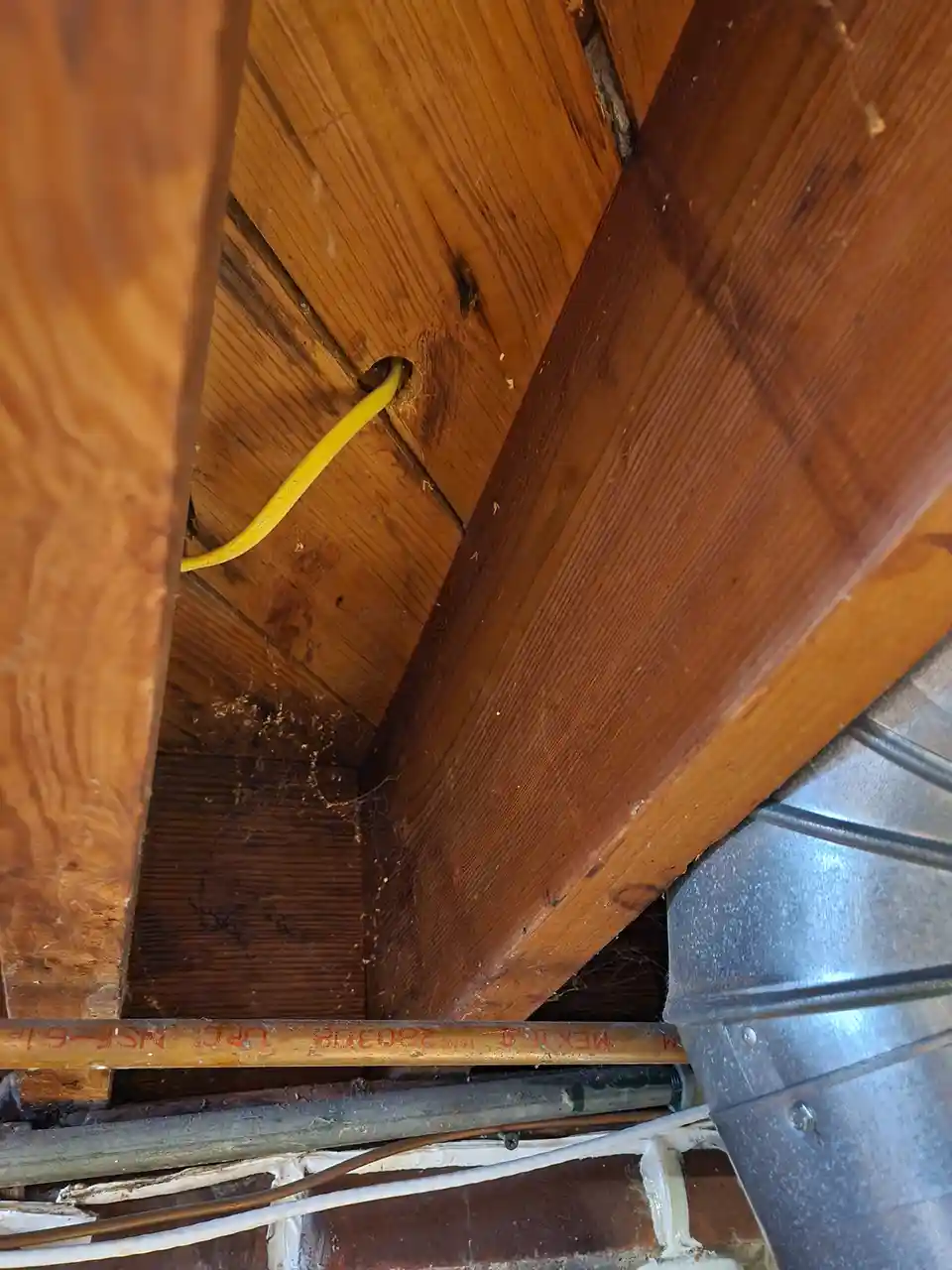 A close-up photo shows a yellow electrical wire protruding from a hole in wooden ceiling joists, surrounded by dust…