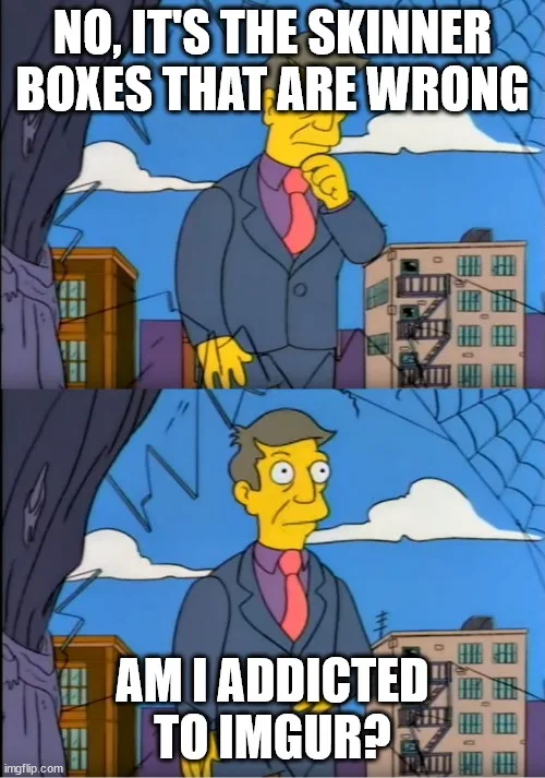 The image is a two-panel meme featuring the character Ned Flanders from The Simpsons. In the top panel, he stands with a…