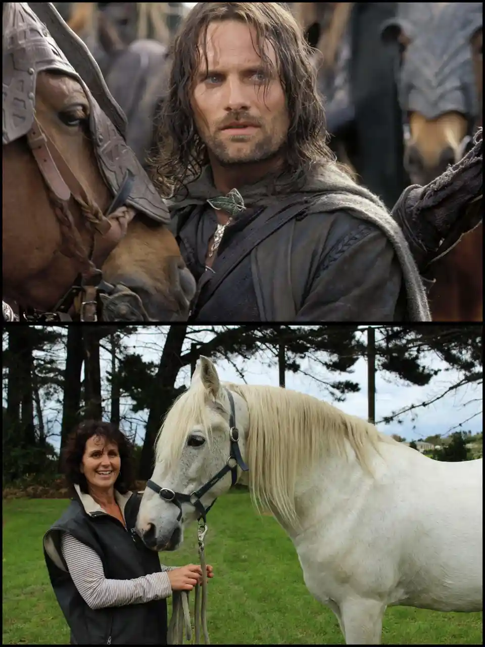 Viggo Mortensen's Generosity: A Horse Named Florian for Arwen's Stunt Double