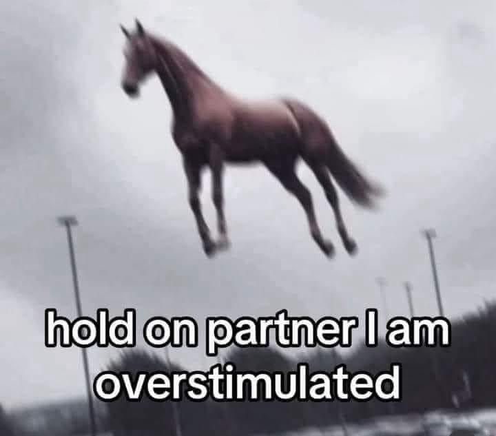 A blurry image of a brown horse mid-air, appearing to leap or be airborne over a blurry background with poles and trees…