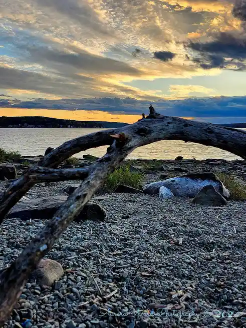 A scenic photo of a curved driftwood log on a rocky shoreline at sunset, with a dramatic sky of orange and blue clouds above…
