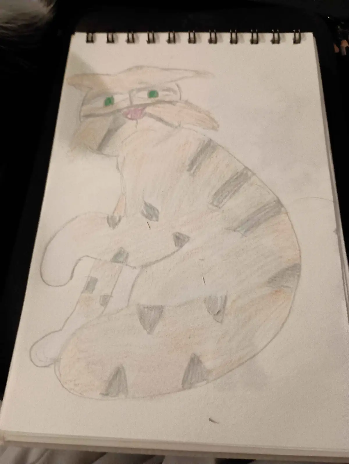 A child's colored pencil drawing on a spiral-bound notebook page shows a cat with green eyes, a pink nose, and striped…
