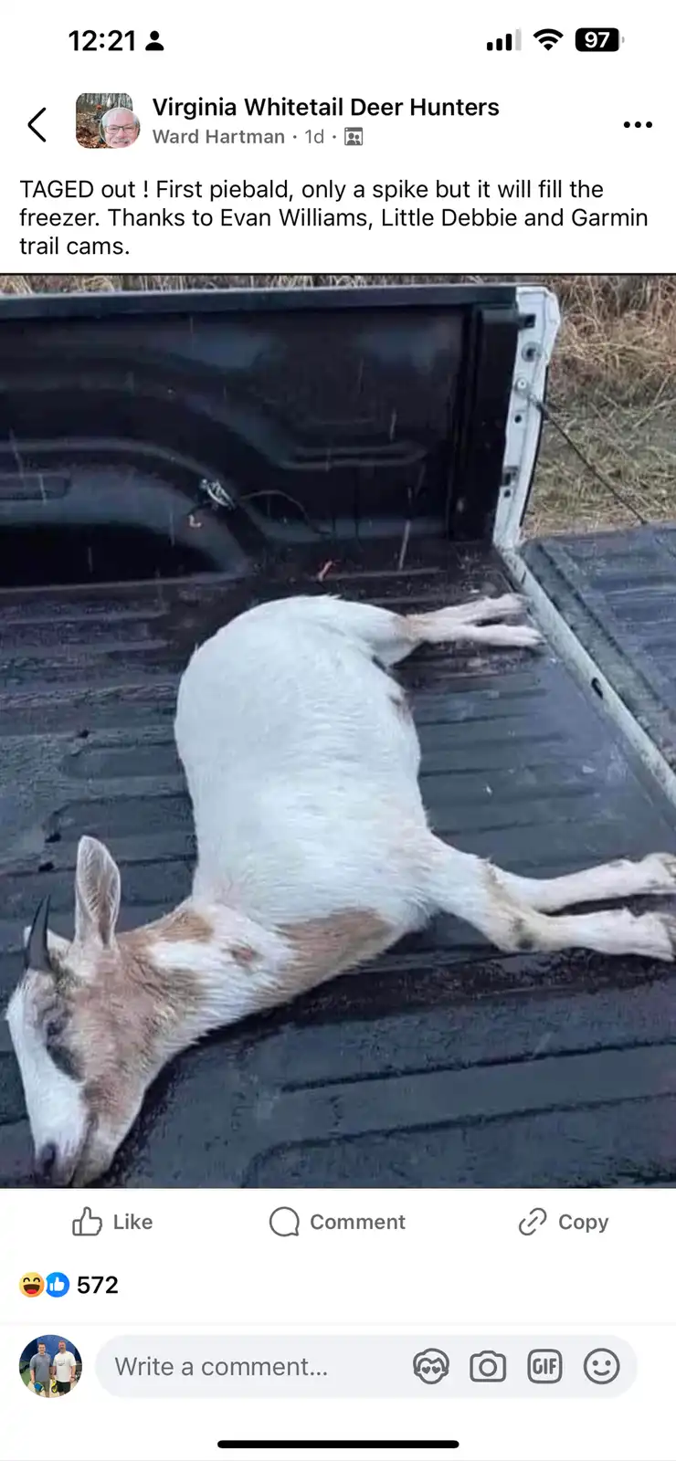 A deceased piebald deer with a single antler lies on its side in the bed of a pickup truck. The overlaid text reads 'TAGED…